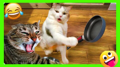 BEST FUNNIEST CATS AND DOGS VIDEOS 2024 😂 | FUNNY ANIMAL VIDEOS