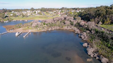 August 3 Mallacoota 2021 Coull's Inlet then the Main Street.