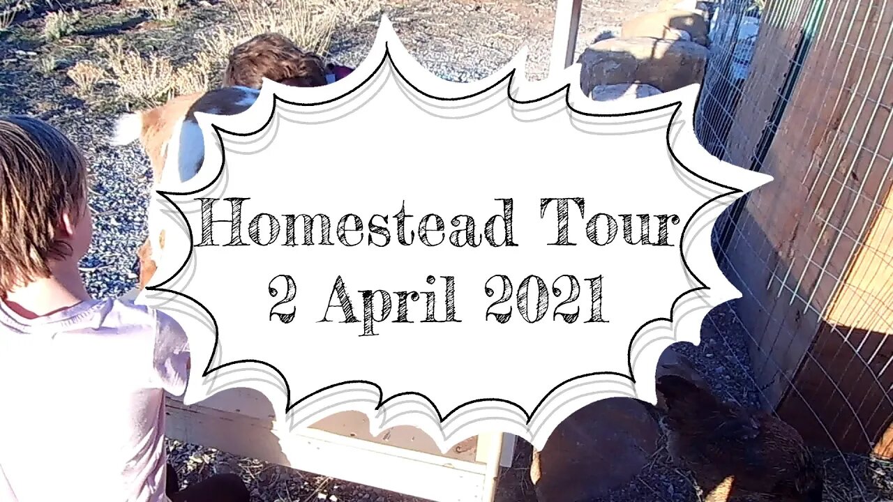 Homestead Tour 2 April 2021