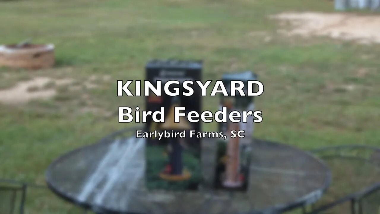 Kingsyard Bird Feeder