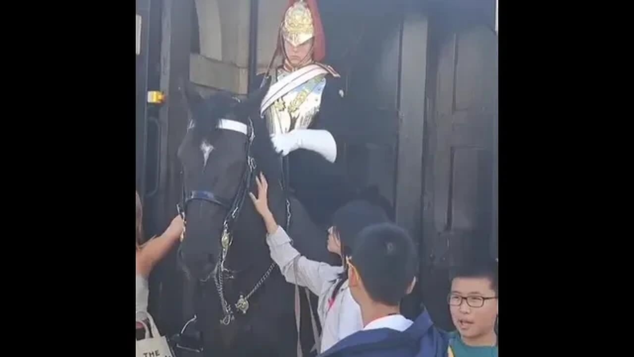 Get off the rein #horseguardsparade