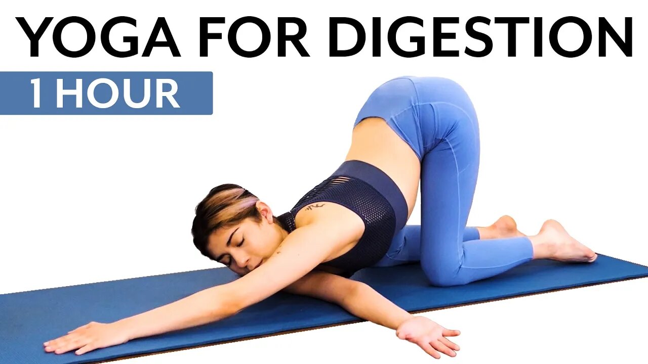 1 Hour Yoga for Faster Metabolism 🔥 Digestion, Detox flow for Weight Loss, Beginner to Intermediate