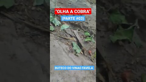 OLHA A COBRA (PARTE #03)