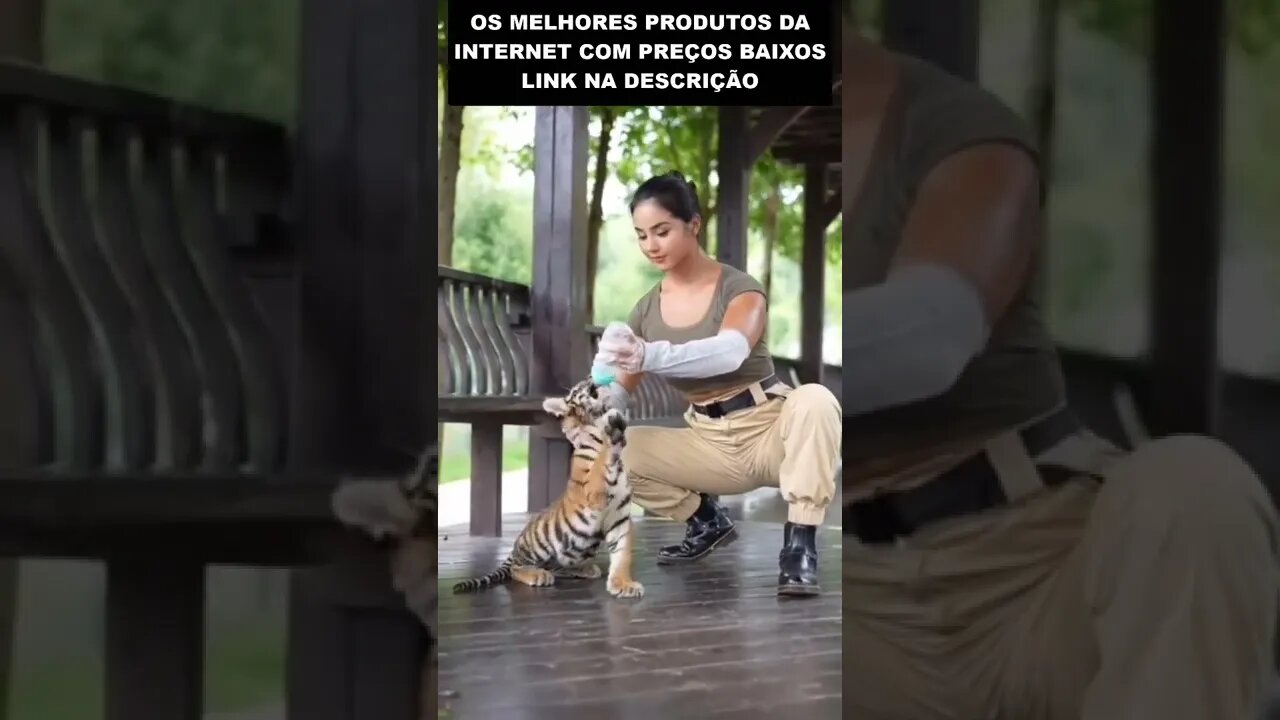 muito encantador esse filhote de tigre