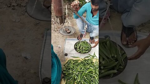 Trending no 1 video allrounder mochi #shortvideos #comedy #viral #funny #shots