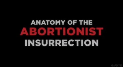 1212. 🛑Democrat Leaders Lead Calls for Mass Violence, Violent Mobs Terrorize Communities