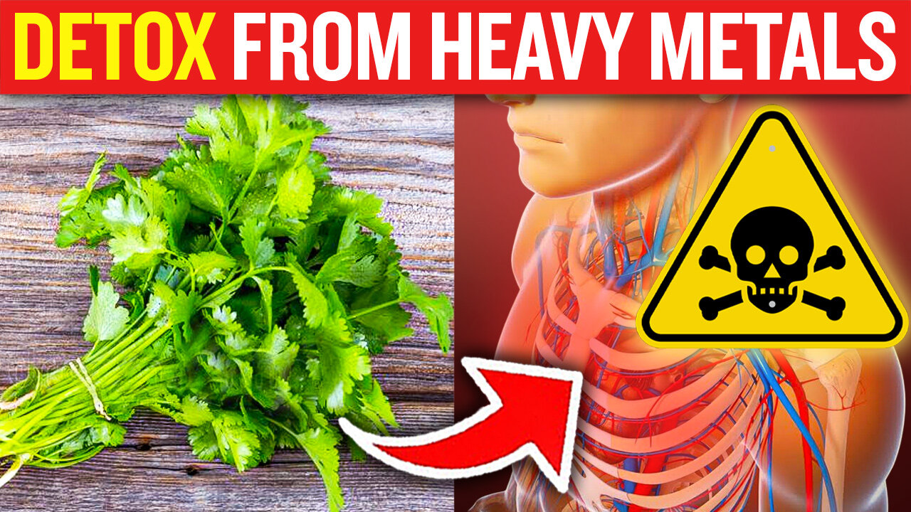 The Best Strategy for Detoxifying Heavy Metals (SAFELY)