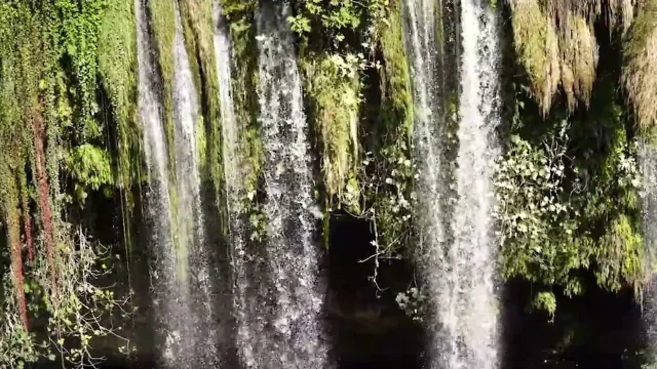 CAMİ SOHBETLERİ / BÖLÜM 60