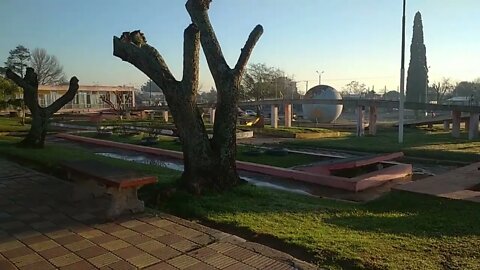 Los perritos jugando en la "helada", El Hongo, Tacuarembó, Uruguay (13/07/2022)