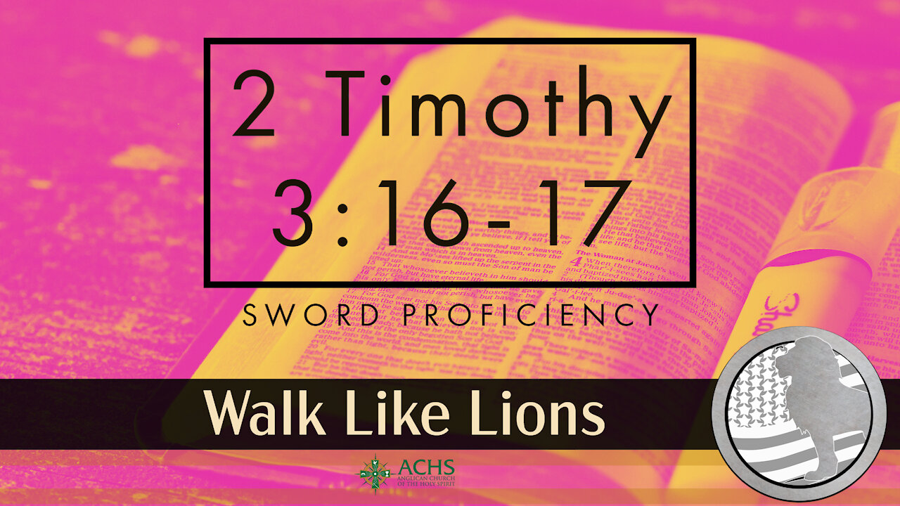 "Sword Prof:2 Timothy 3:16-17" Walk Like Lions Christian Daily Devotion with Chappy January 03, 2022