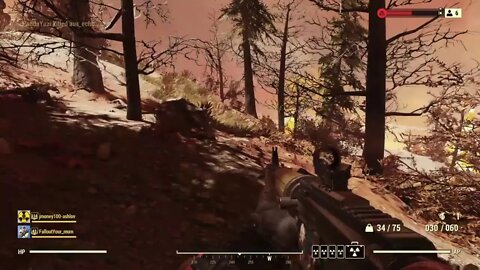 Can We Get a Good Team? | Fallout 76 | Livestream