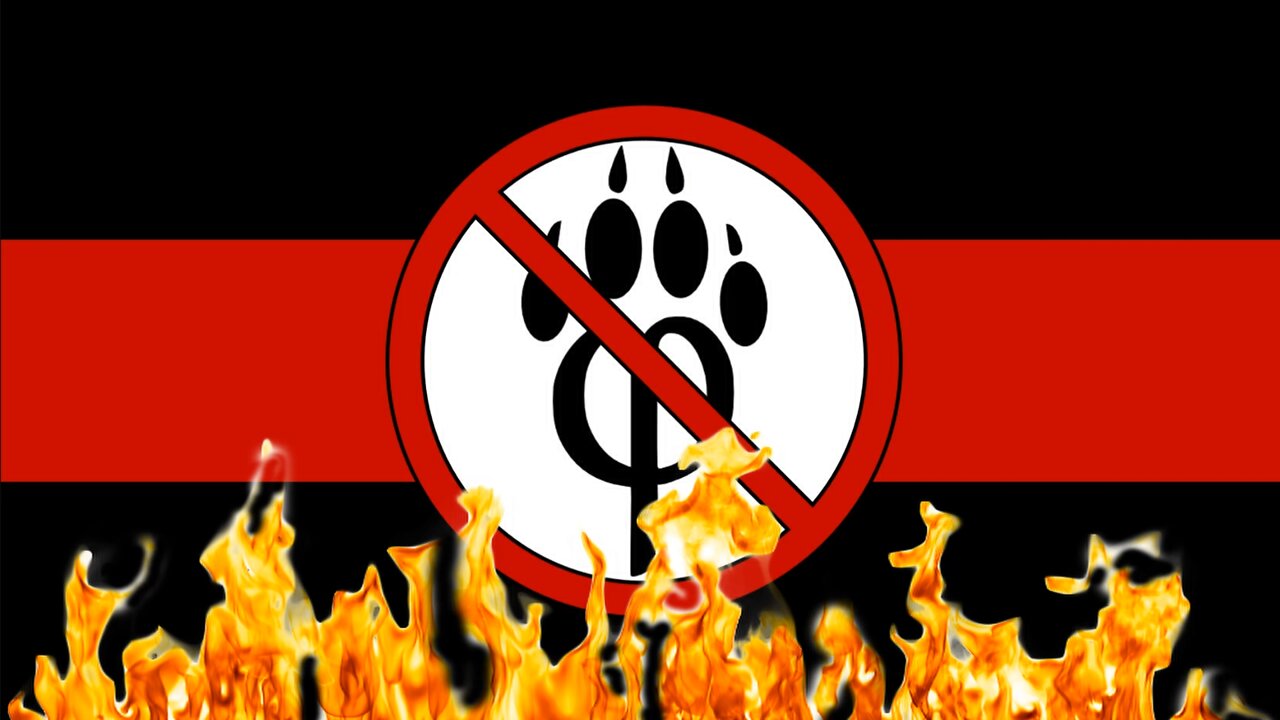 Stupid Anti Furries get rekt @Mepios