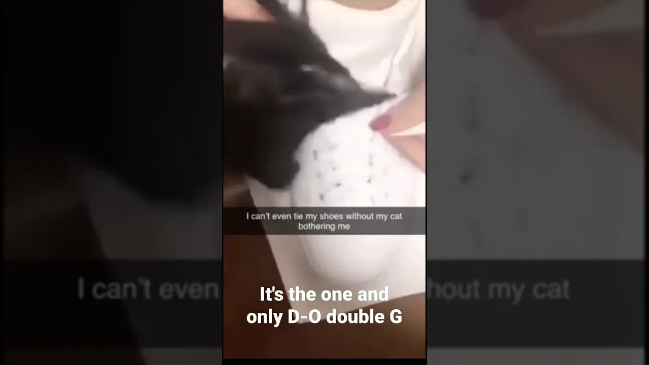 MEME is the one and only D-O double G #shorts