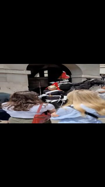 The queen's guard makes the tourist jump shouting get back #horseguardsparade