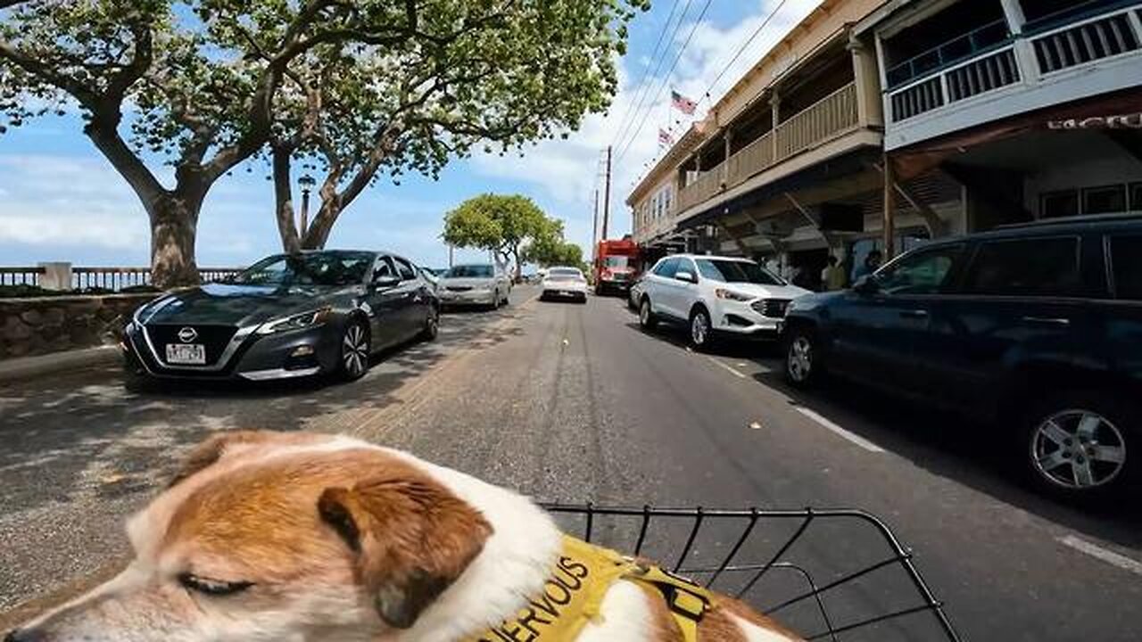 LAHAINA MAUI FIRES A TRIBUTE TO THE TOWN AND THE COMMUNITY