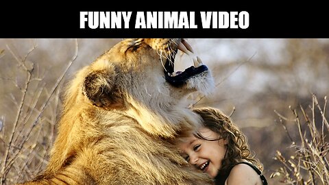 "Hilarious Animal Antics: When Animals Embrace their Inner Comedians!"