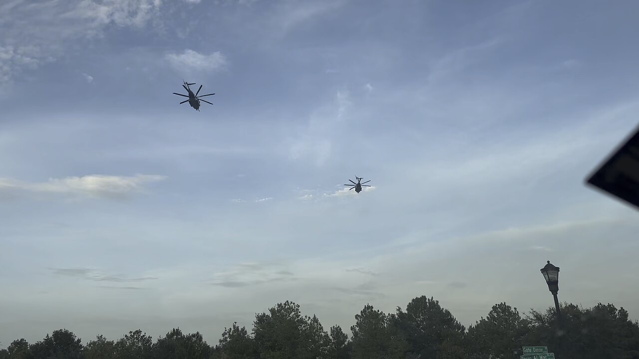 Military Helicopters Over Tampa