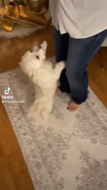 Sparks doing the wobble