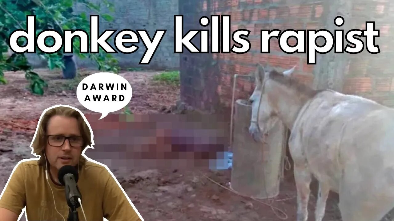 Man Tries To Have Sex With Donkey - Instant Darwin Award