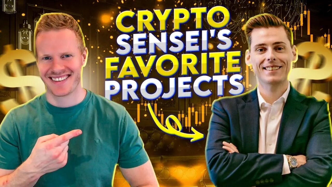 What is Crypto Sensei Doing During the Bear Market?