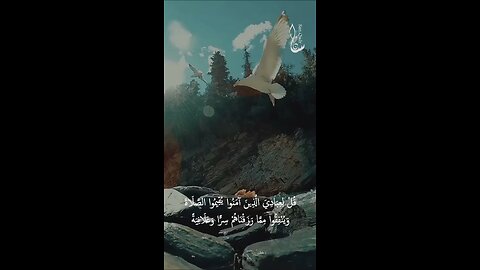 Quran surah