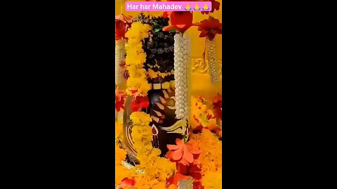 Jay Mahadev