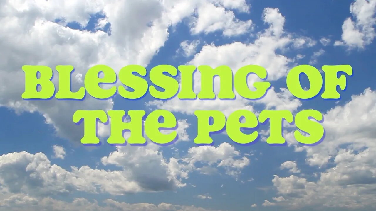 Blessing of the Pets