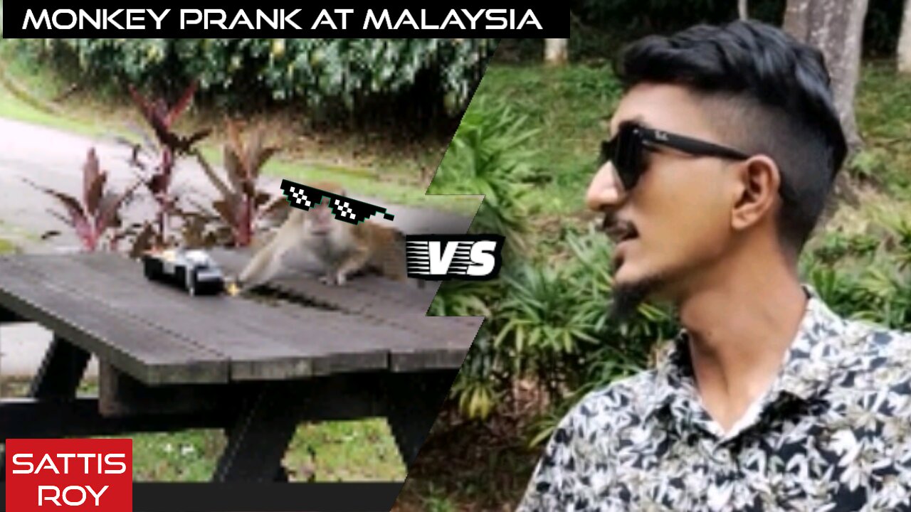 Omg Monkey prank