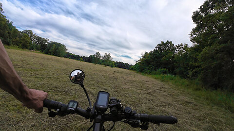 Cycling, 17.06.2024 [E] Lobau