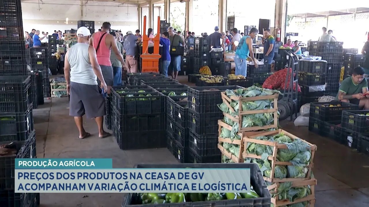 Produção Agrícola: Preços dos Produtos na Ceasa de GV Acompanham Variação Climática e Logística.