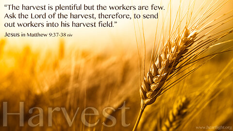 The Call of Ministry: An Abundant Harvest