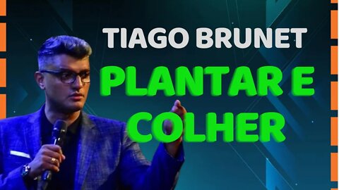 A vida é feita de Plantar e Colher | Tiago Brunet | Primo Cast