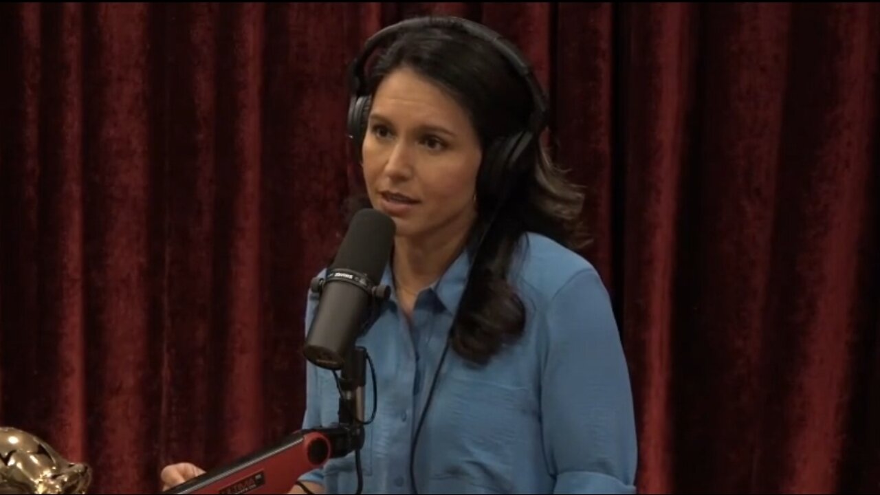 Tulsi Gabbard: The Democrat Party Is A Real Threat To Our Democracy