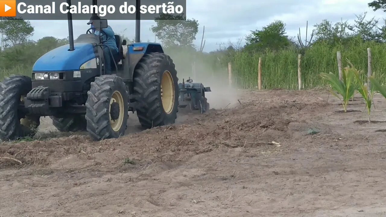 Arando a terra seca do Sertão Trator New Holland TL- 75E