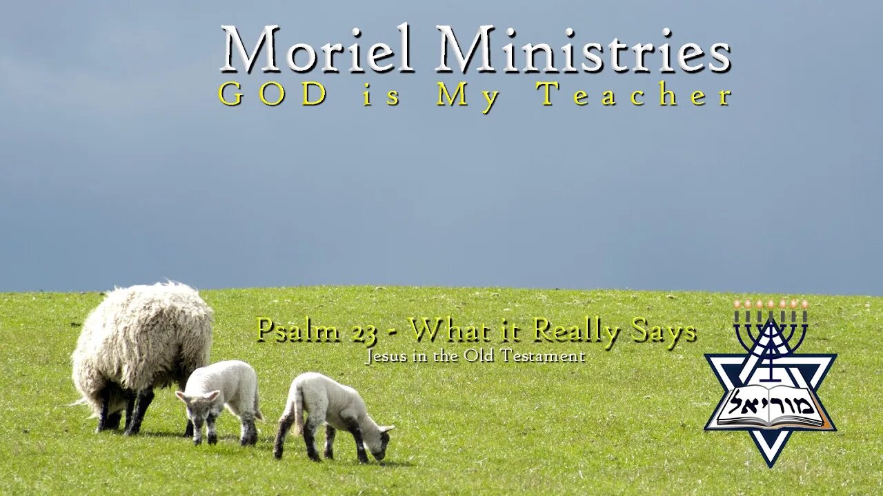 Psalm 23: What it Really Says