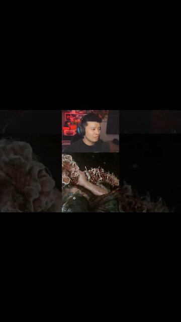 First Clicker Encounter