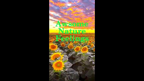 Enjoy Nature Feelings