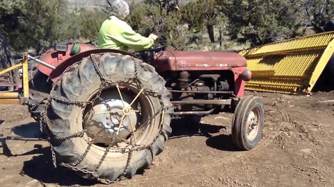 Massey Ferguson 35 Skidding Trees