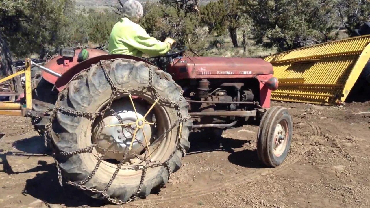 Massey Ferguson 35 Skidding Trees