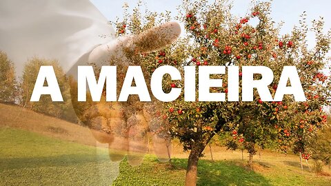 A MACIEIRA - IMPACTO CRISTÃO