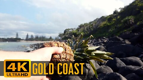 【4K】Australia | Burleigh Heads