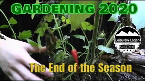 Gardening 2020 : The End Of Season