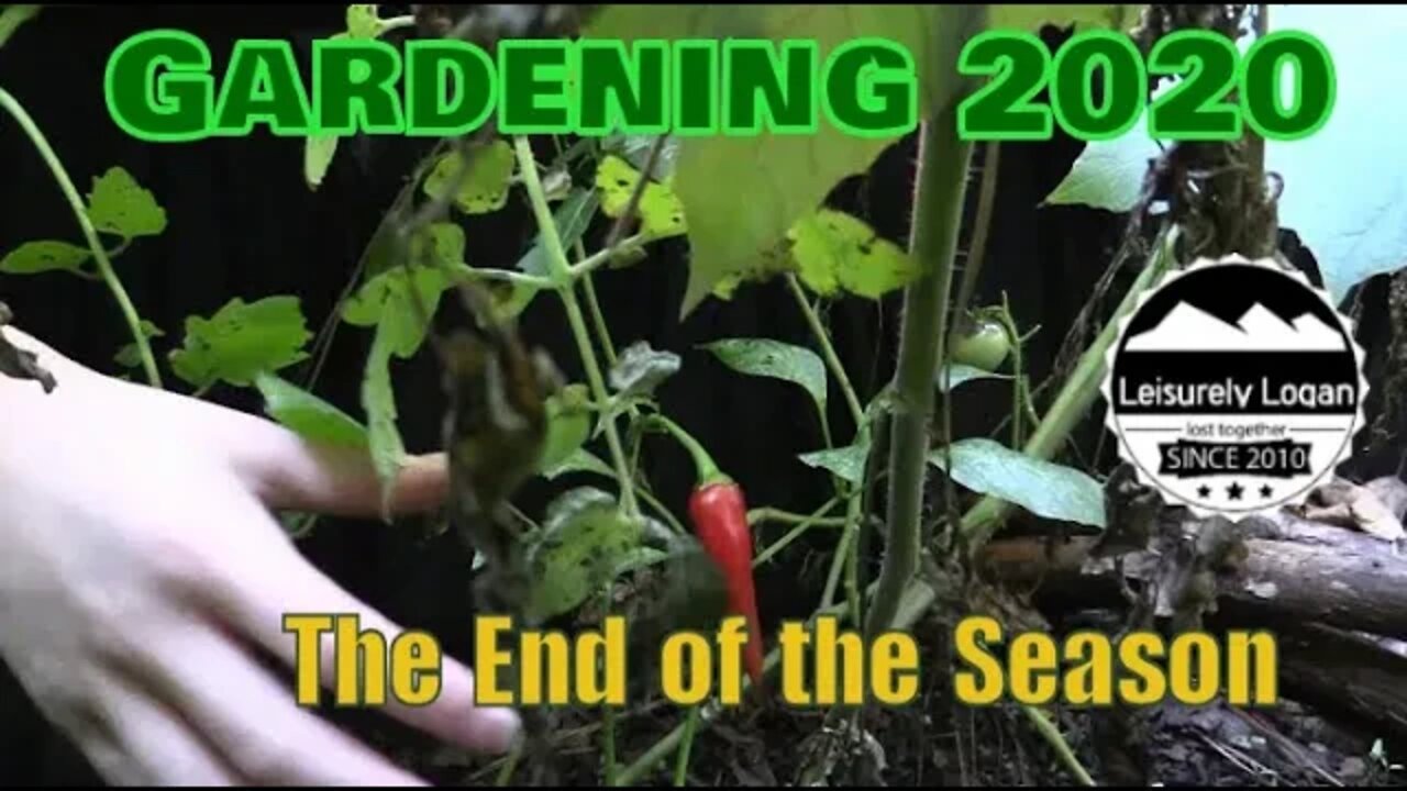 Gardening 2020 : The End Of Season