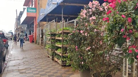 CENTRO DE PERUÍBE-SP FOMOS COMPRAR FLOR PARA MAMÃE