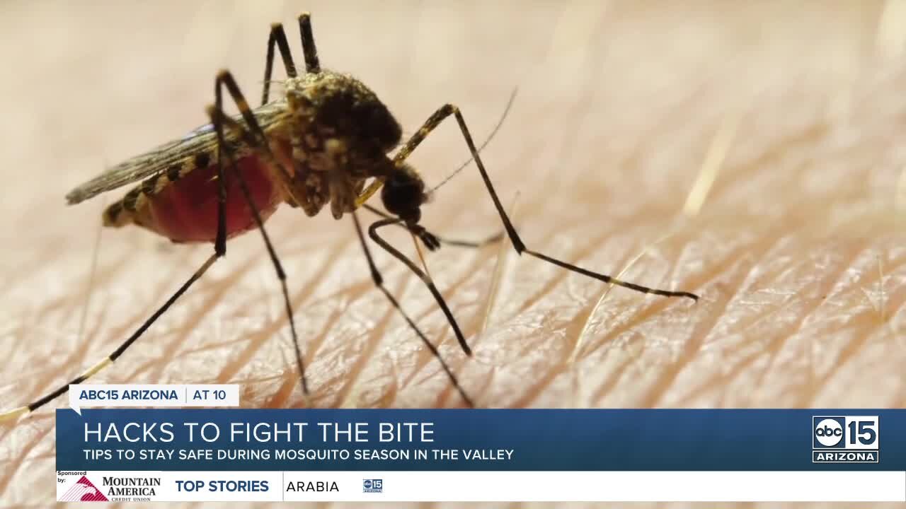 Hacks to beat the mosquito bite this summer