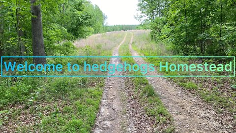 Homesteading in the north west and the south