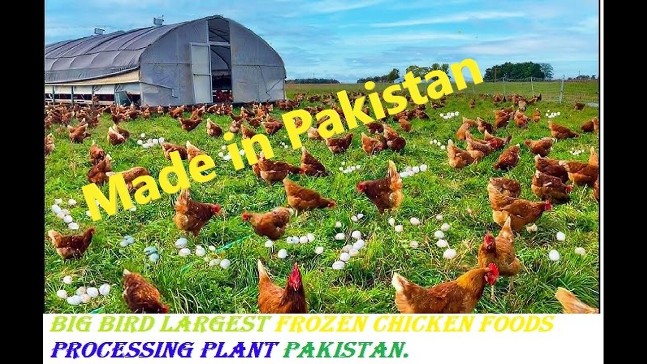 Big Bird Largest Frozen Chicken Foods Processing Plant Pakistan