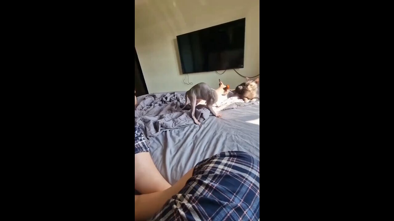 🤣