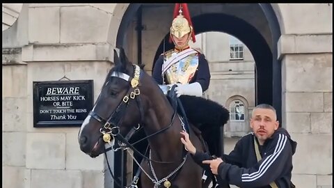 A MALE VERSION OF KAREN WONT STOP TOUCHING THE HORSE WANTS OTHERS TO TOUCH TOURIST'S GET ANNOYED