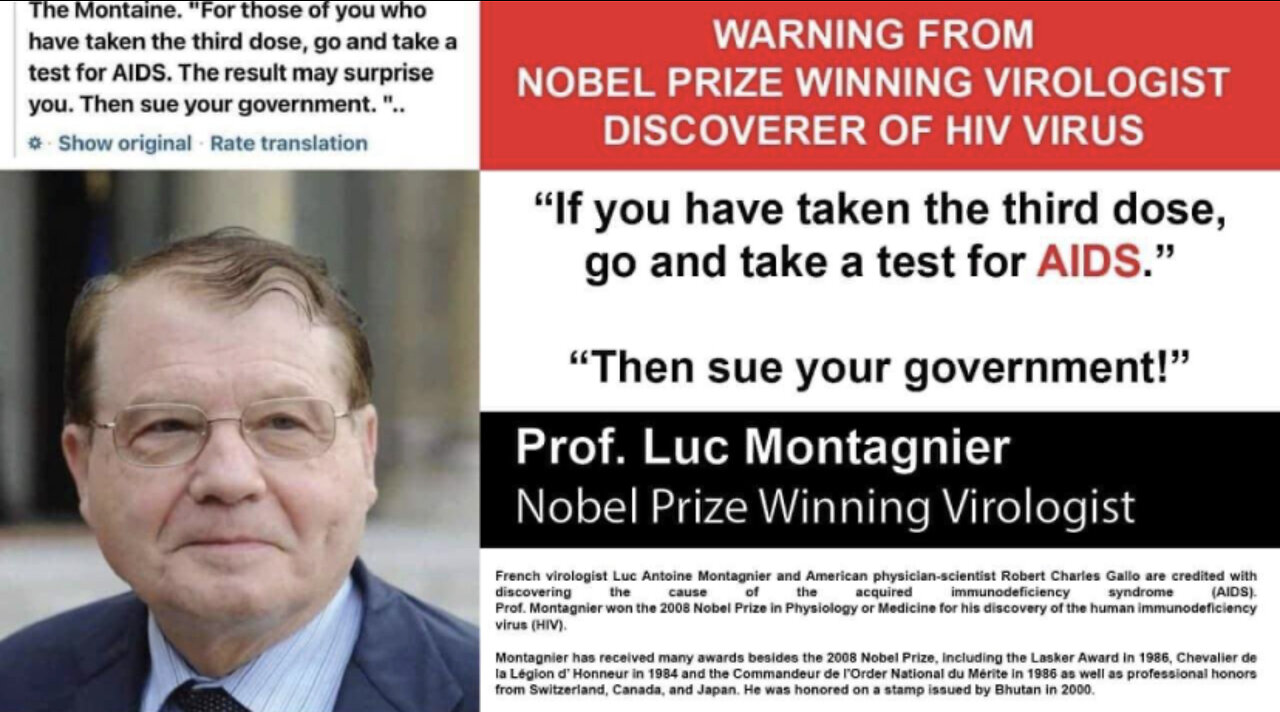 Nobel laureate & virologist Luc Montagnier (translated in italian & english)